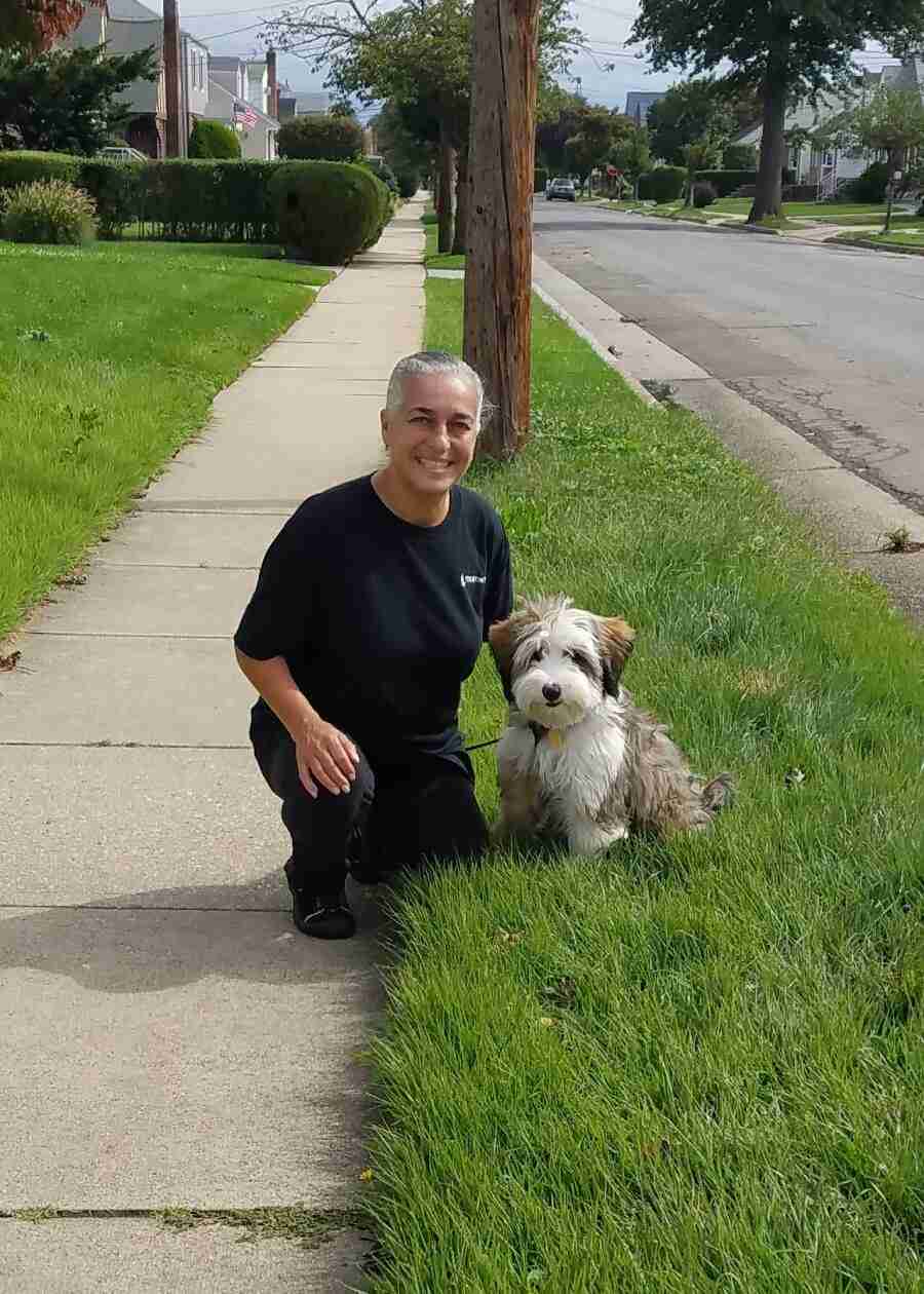 Why did the dog walk