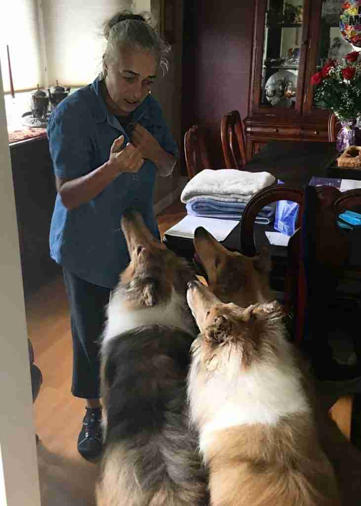 Is vanda talking 23collies