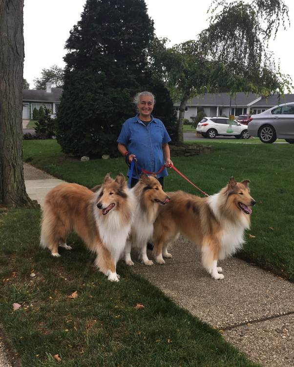 Vanda walking a dog in Nokomis
