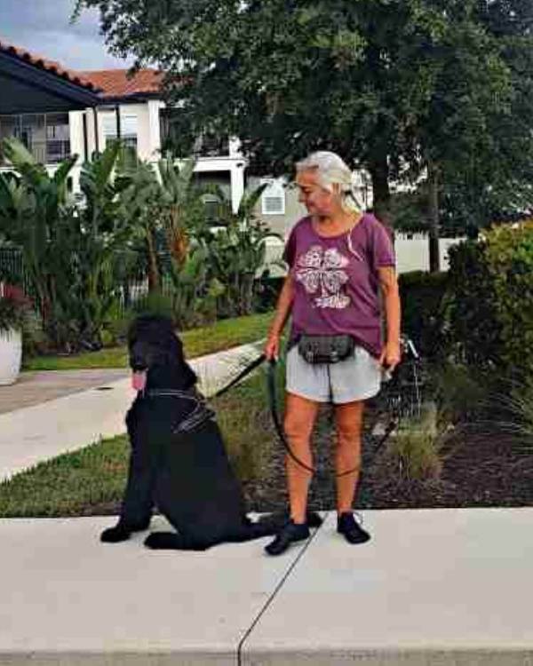 pet sitter near Nokomis 34275