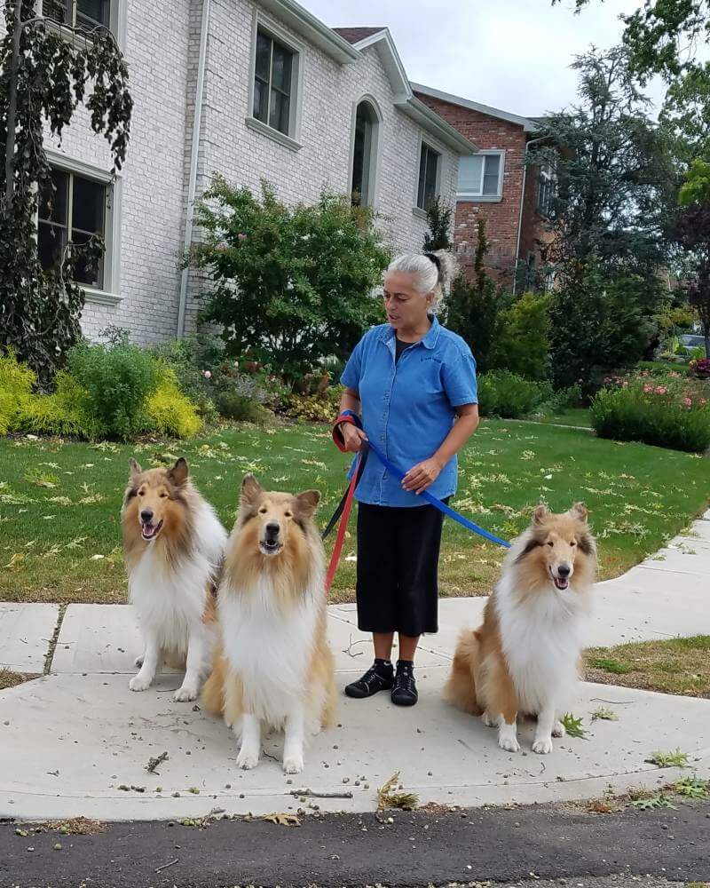 Vanda walking a dog in Nokomis