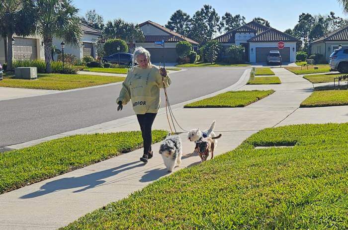 dog service in Nokomis