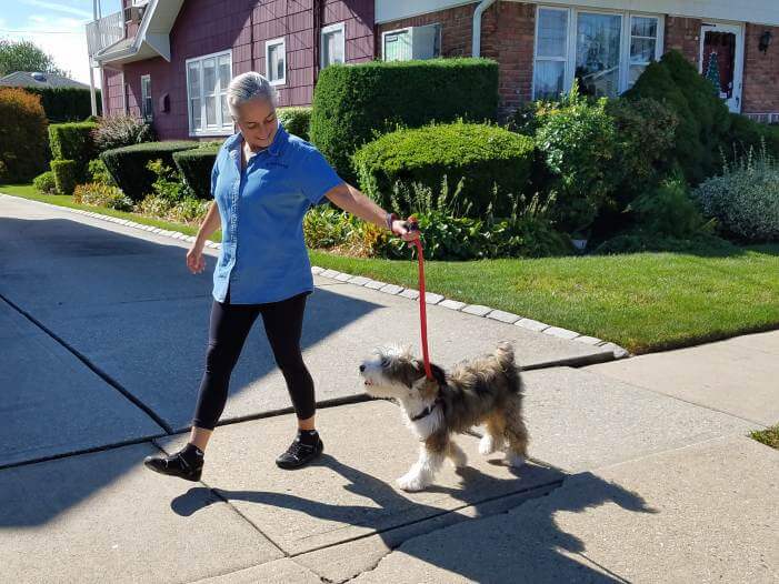 Vanda walking a dog in Nokomis