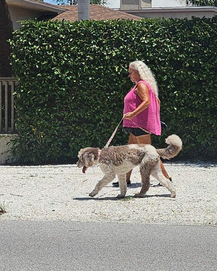  overnight pet care Nokomis FL
