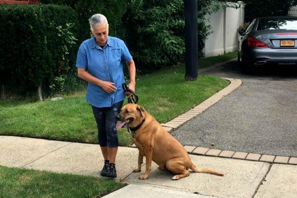 Vanda walking a dog in Nokomis